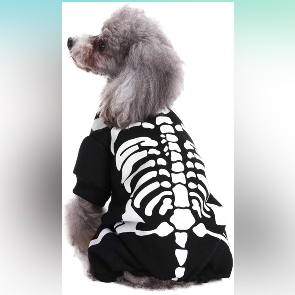 Medium Dog Costume